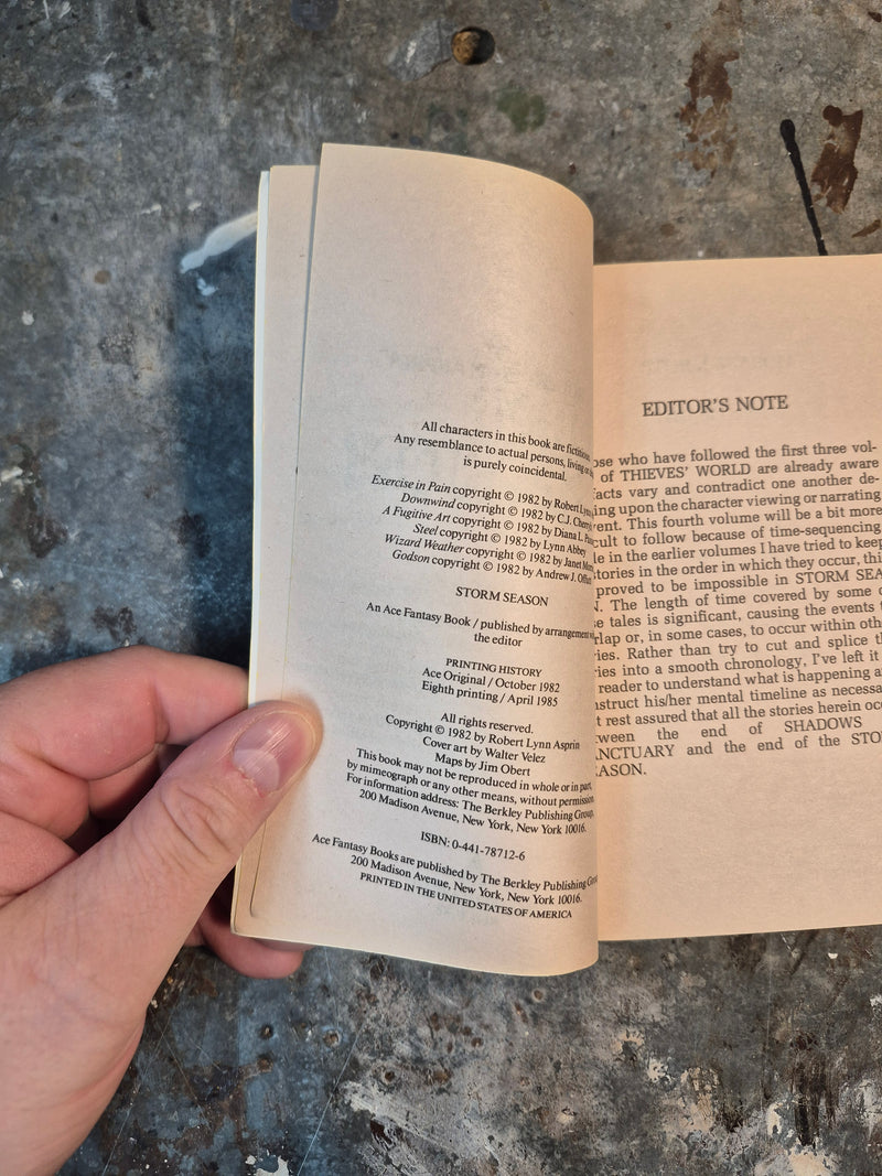 Thieves' World 4: Storm Season - Robert Lynn Asprin
