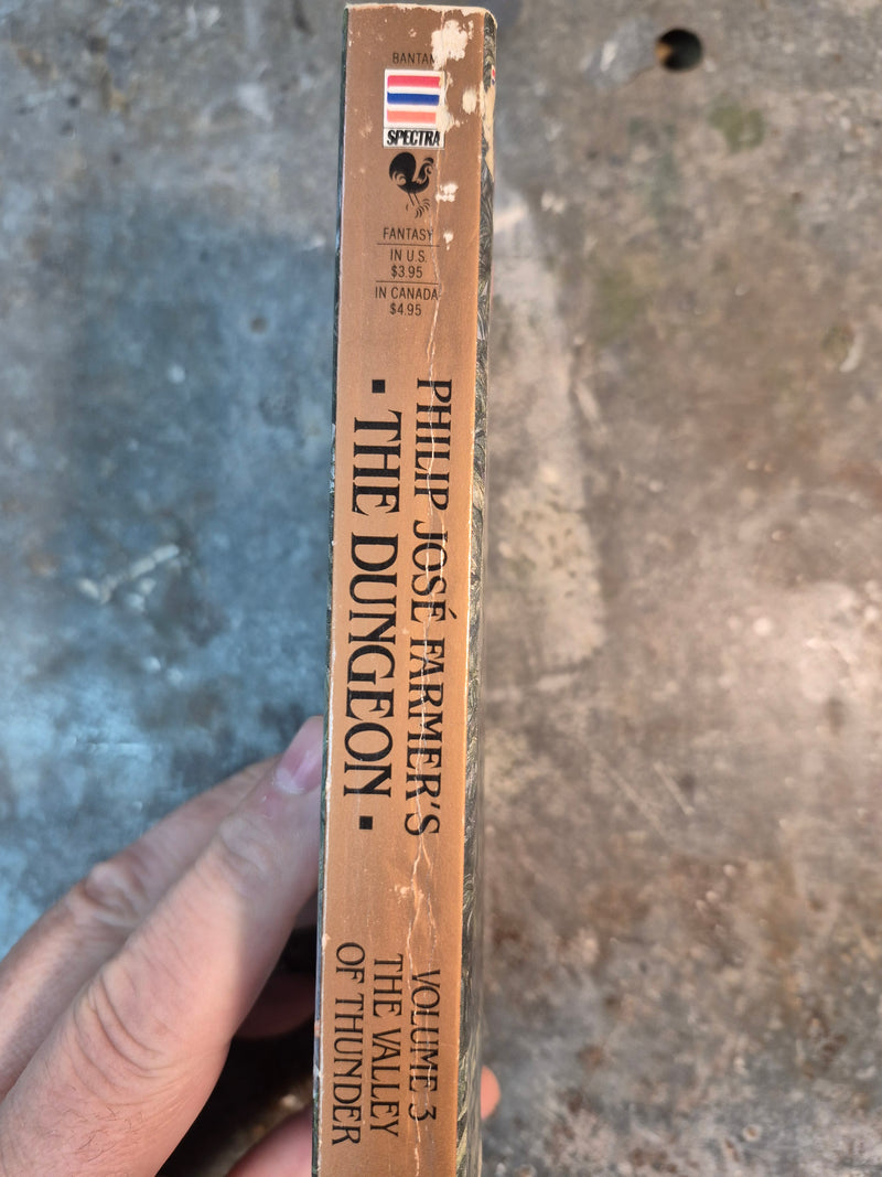 The Dungeon Volume 3: The Valley Of Thunder - Charles de Lint (w/Philip Jose Farmer)