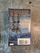 Into The Fire - Dennis L. McKiernan