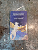 The Silver Sun - Nancy Springer