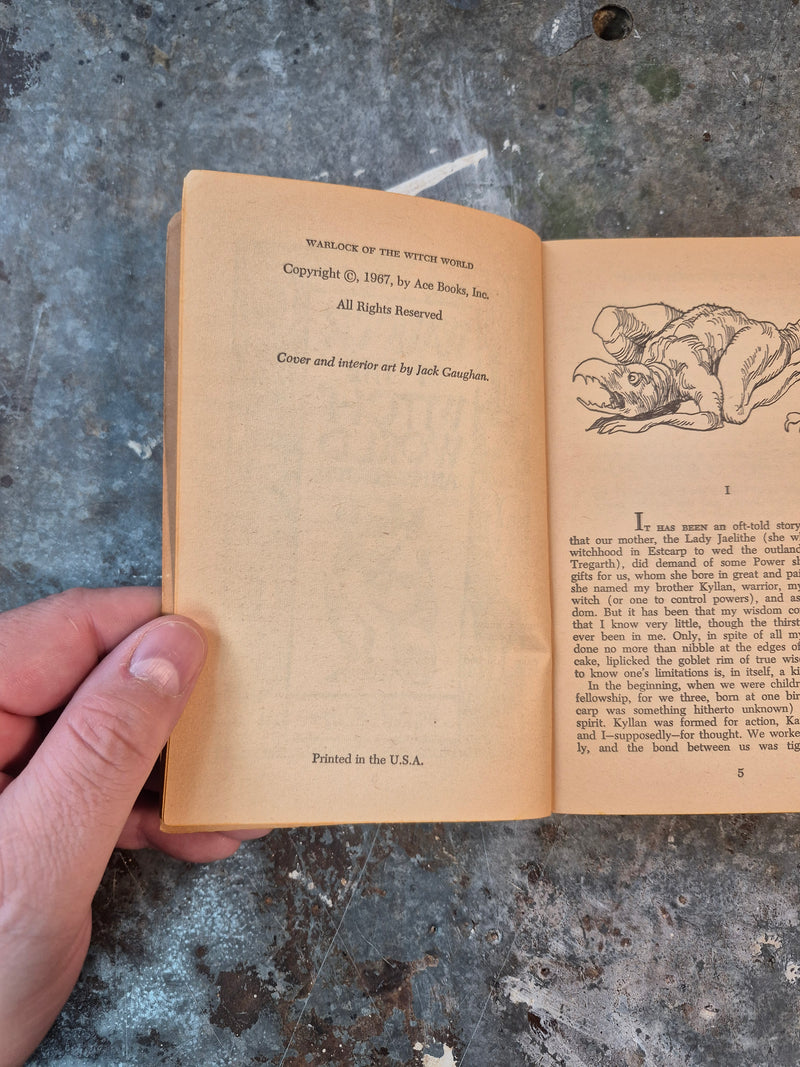 Warlock Of The Witch World - Andre Norton