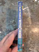 Black Vulmea: The Witch Of The Indies - David C. Smith