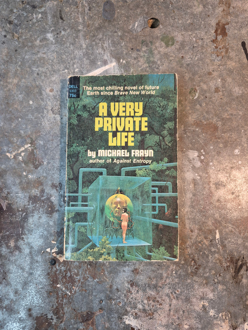 A Very Private Life - Michael Frayn