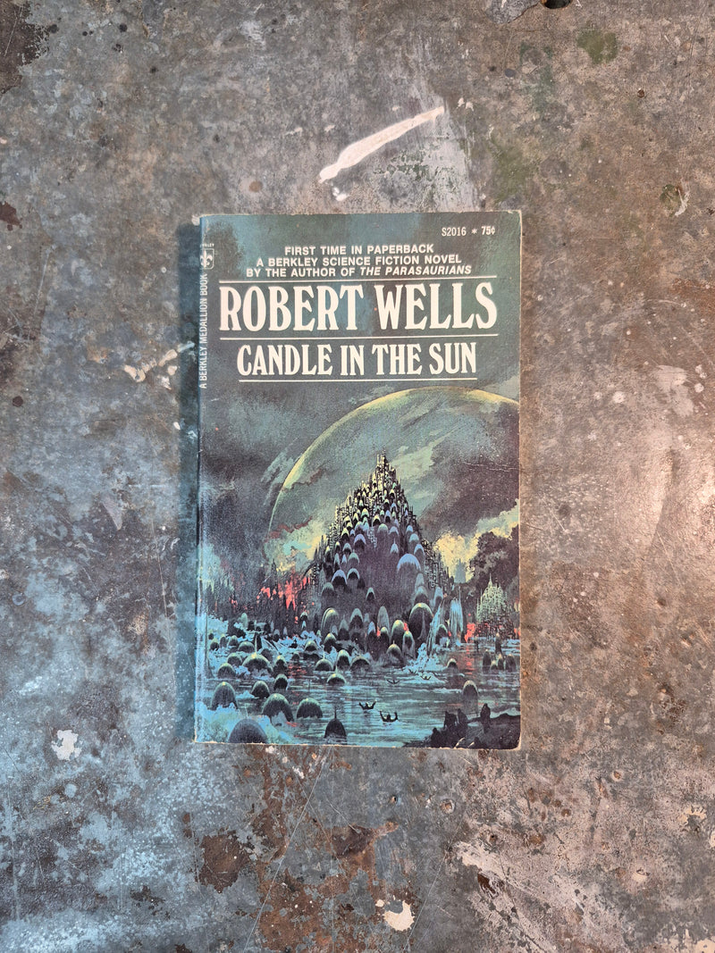 Candle In The Sun - Robert Wells
