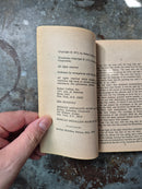 The Mountains Of The Sun - Christian Leourier