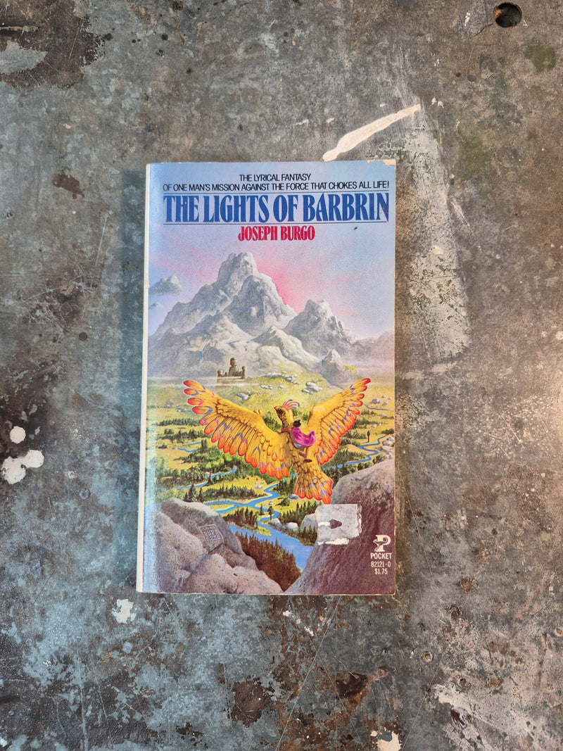 The Lights Of Barbrin - Joseph Burgo
