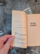 The Lights Of Barbrin - Joseph Burgo