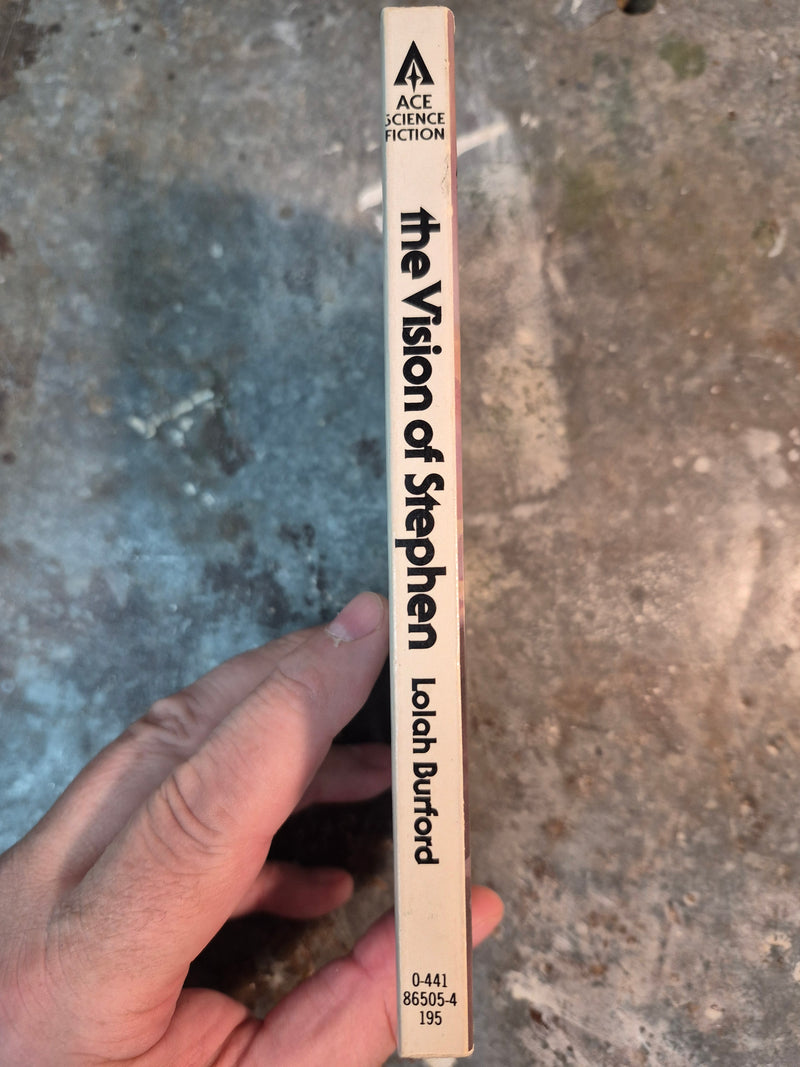 The Vision Of Stephen - Lalah Burford