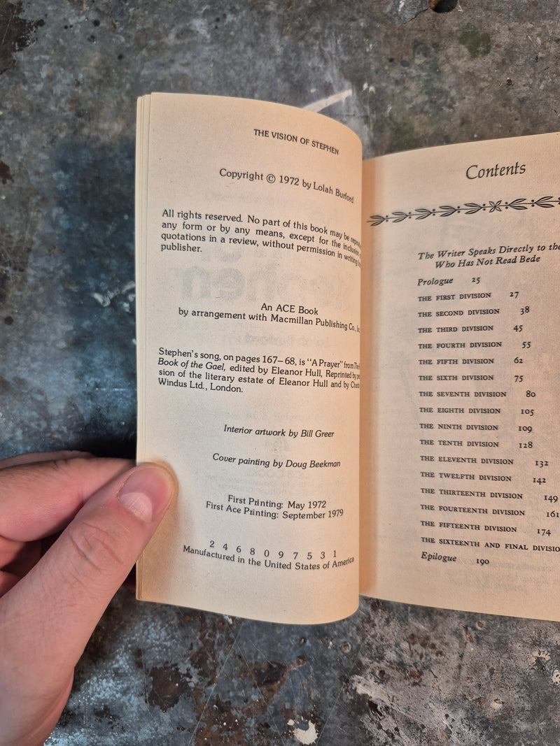 The Vision Of Stephen - Lalah Burford