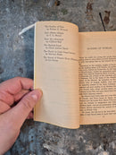 New Worlds For Old - Lin Carter (editor)