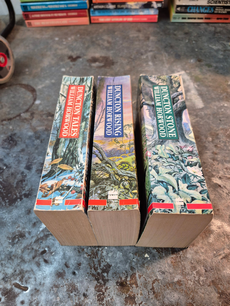 The Book Of Silence Trilogy - William Horwood