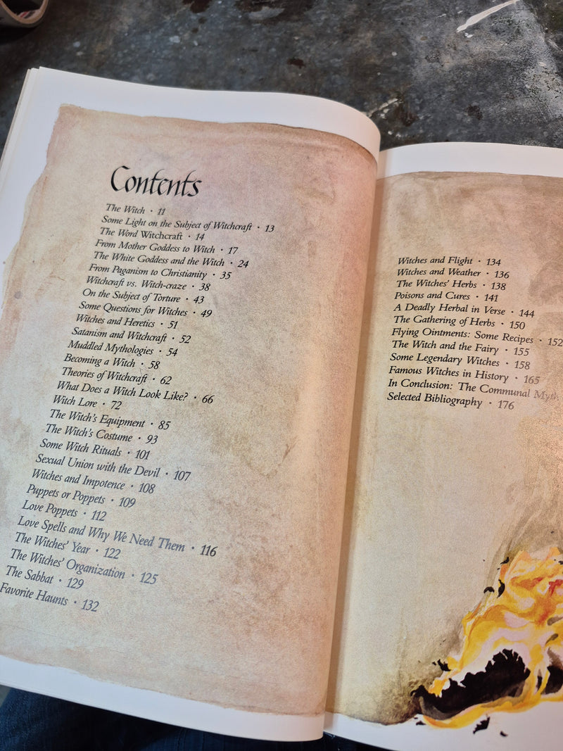 Witches - Erica Jong (ill. Joseph A. Smith)