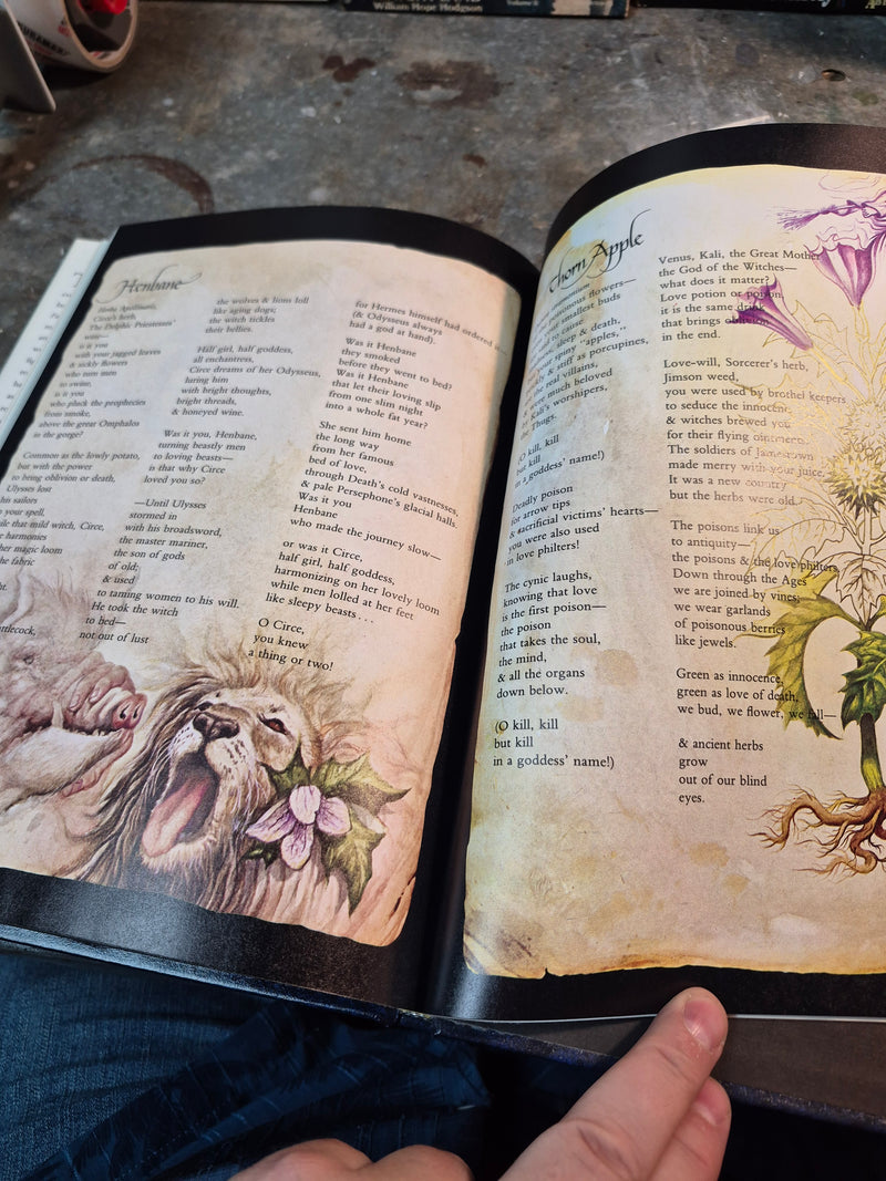 Witches - Erica Jong (ill. Joseph A. Smith)