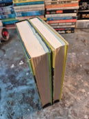 The Chronicles Of Amber Volume 1 + 2 - Roger Zelazny