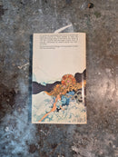 The Tsaddik Of The Seven Wonders - Isidore Haiblum