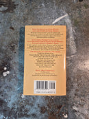 Thieves' World Book 10: Aftermath - Robert Lynn Asprin & Lynn Abbey (editors)