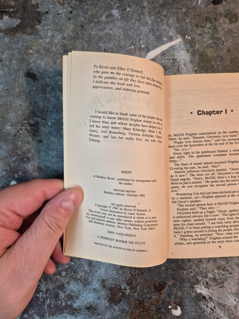 The Journeys Of McGill Feighan Book II: Reefs - Kevin O'Donnell Jr.