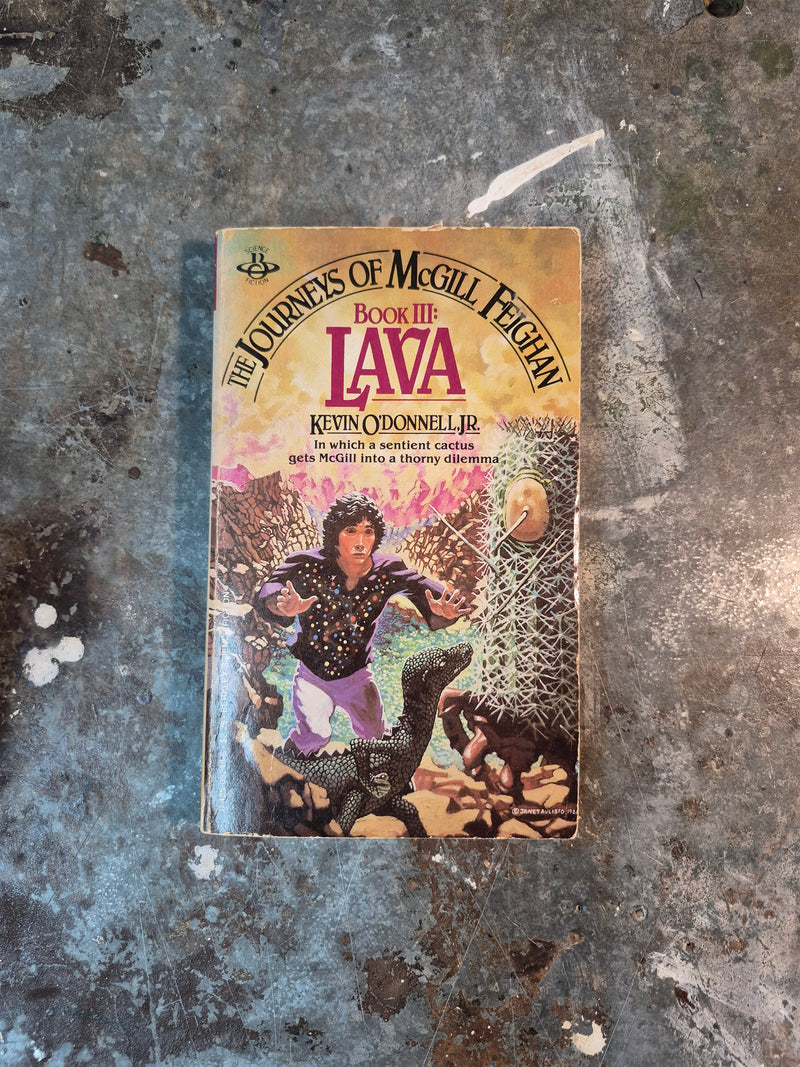 The Journeys Of McGill Feighan Book III: Lava - Kevin O'Donnell Jr.