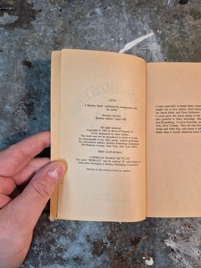 The Journeys Of McGill Feighan Book III: Lava - Kevin O'Donnell Jr.