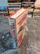 The Warlock Enlarged - Christopher Stasheff