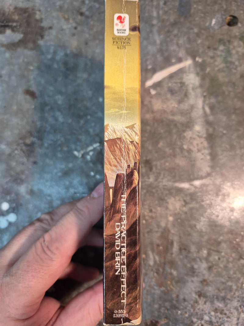 The Practice Effect - David Brin