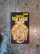 The Gods Abide - Thomas Burnett Swann