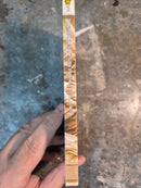 The Magician's Nephew - C. S. Lewis