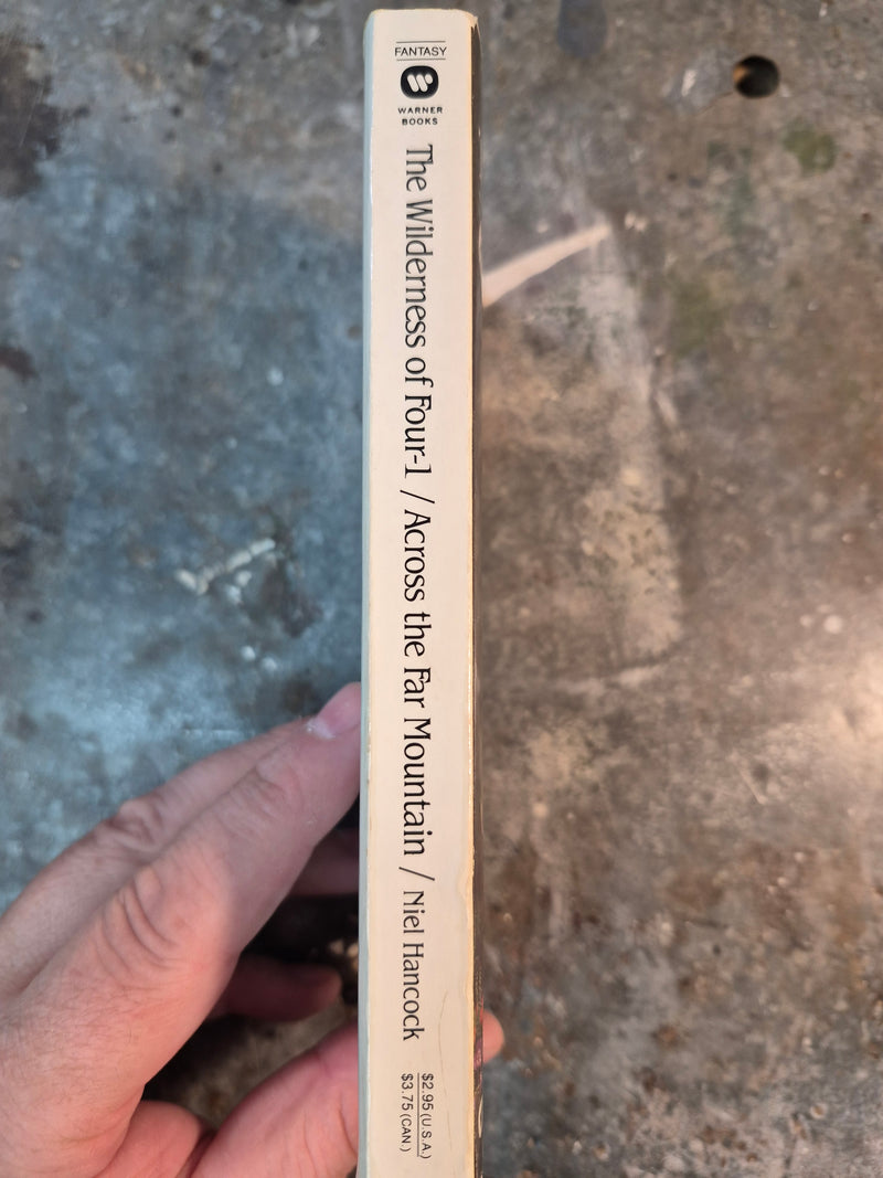 The Wilderness Of Four 1: Across The Far Mountain - Niel Hancock