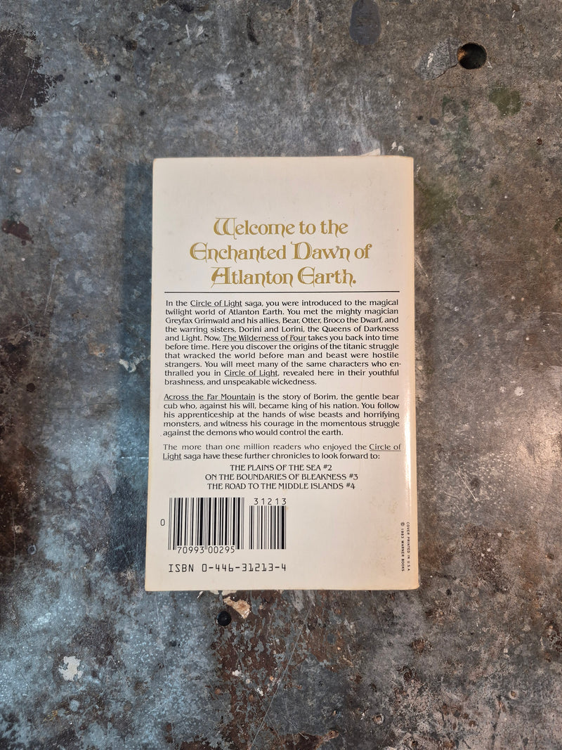 The Wilderness Of Four 1: Across The Far Mountain - Niel Hancock