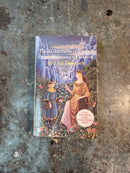 The Wilderness Of Four 3: On The Boundaries Of Darkness - Niel Hancock