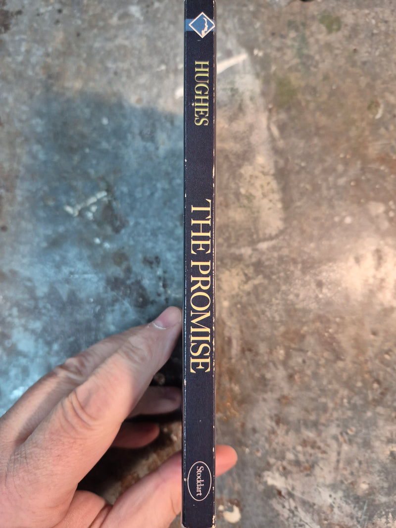 The Promise - Monica Hughes