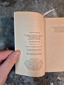 The Perilous Quest For Lyonesse Book Two: The Lords Of The Stoney Mountains - Antony Swithin