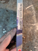 The Perilous Quest For Lyonesse Book Four: The Nine Gods Of Safaddne - Antony Swithin