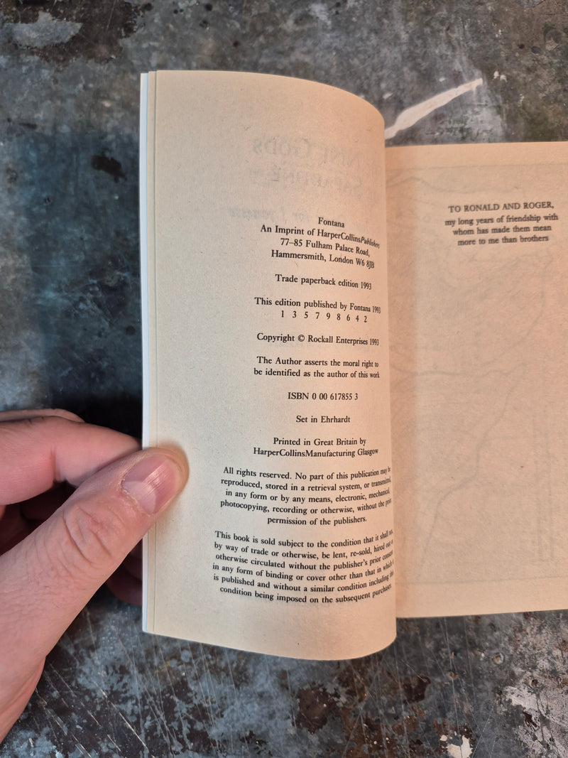 The Perilous Quest For Lyonesse Book Four: The Nine Gods Of Safaddne - Antony Swithin