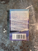 The Perilous Quest For Lyonesse Book Four: The Nine Gods Of Safaddne - Antony Swithin