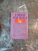 A Brand New World - Ray Cummings