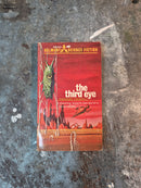 The Third Eye - Theodore Cogswell