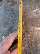 Spell Of The Witch World - Andre Norton