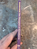 The Champion Of Garathorm - Michael Moorcock