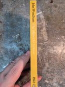 The Midwich Cuckoos - John Wyndham