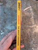 The Bright Companion - Edward Llewellyn