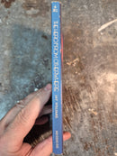 The Hero From Otherwhere - Jay Williams