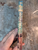 The Destiny Dice Book One: The Gaming Magi - David Bischoff