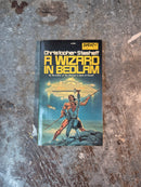 A Wizard In Bedlam - Christopher Stasheff