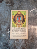 Mandrill - Richard Gardner