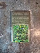 Dangerous Visions 3 - Harlan Ellison (editor)