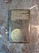 The Ruins Of Earth - Thomas M. Disch (editor)