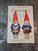 Gnomes - Wil Huygen