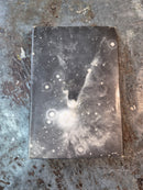 An Exaltation Of Stars - Terry Carr (editor)