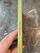 The Girl In The Cellar - Patricia Wentworth